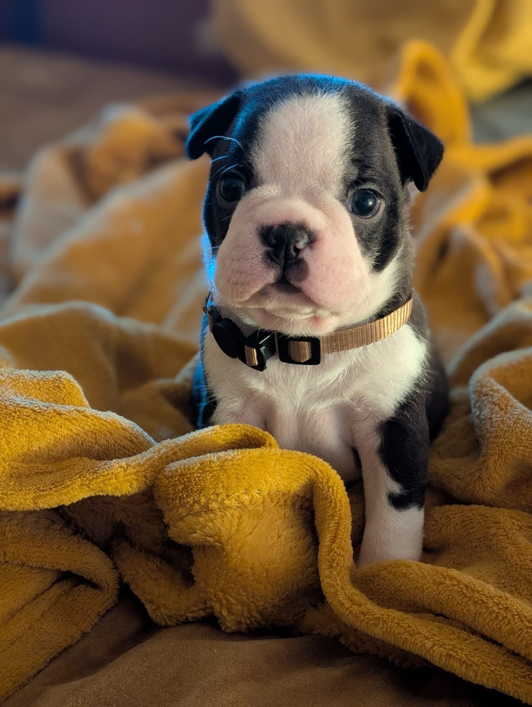 Mon adorable petit bonhomme 💓