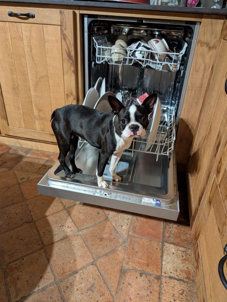 Un pré lavage de qualité !